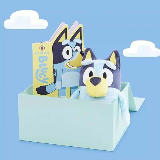 WIN this Personalised Bluey Bedtime Story Gift Set